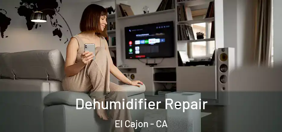 Dehumidifier Repair El Cajon - CA