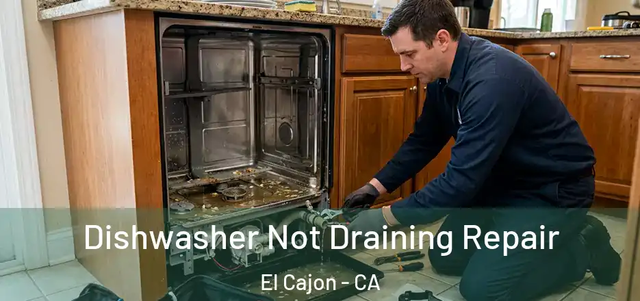  Dishwasher Not Draining Repair El Cajon - CA