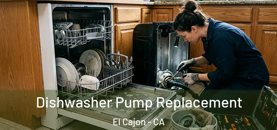 Dishwasher Pump Replacement El Cajon - CA