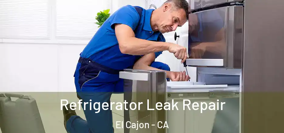 Refrigerator Leak Repair El Cajon - CA